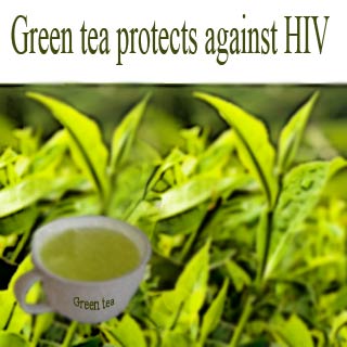 பசுமை தேநீர் Green Tea – மு.அ. அபுல் அமீன் நாகூர் Green-tea-leaves-cup