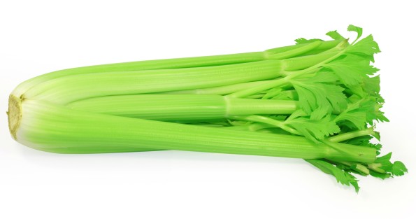 celery-natural-healing-food